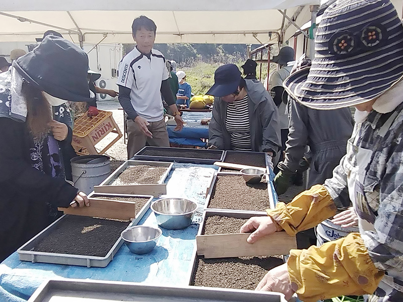 ワーカーズコープ山口　みんなでつくってみんなで食べる田んぼ17　15反分の苗づくりを46人で　「医師中村〜」上映会参加者らも